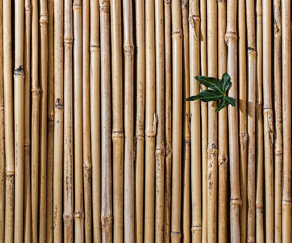 Le Bamboo Suprême, pour une décoration suprême du goût