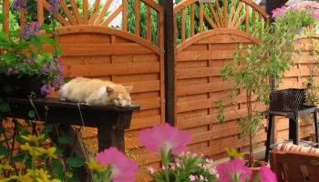 Sublimer sa terrasse pour l'été, la tendance 2020